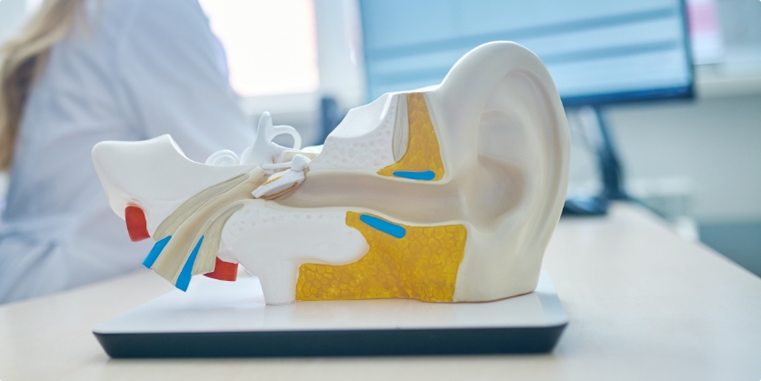 Audiology Consultants of Iowa Blog